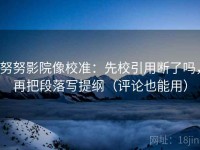 努努影院像校准：先校引用断了吗，再把段落写提纲（评论也能用）