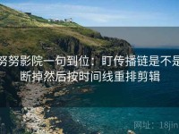 努努影院一句到位：盯传播链是不是断掉然后按时间线重排剪辑