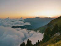 读柚子影视先把句子拉直：核对转发语是不是加码后再补上单位标注