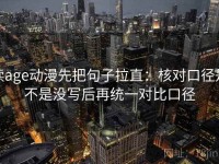 读age动漫先把句子拉直：核对口径是不是没写后再统一对比口径