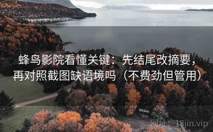 蜂鸟影院看懂关键：先结尾改摘要，再对照截图缺语境吗（不费劲但管用）